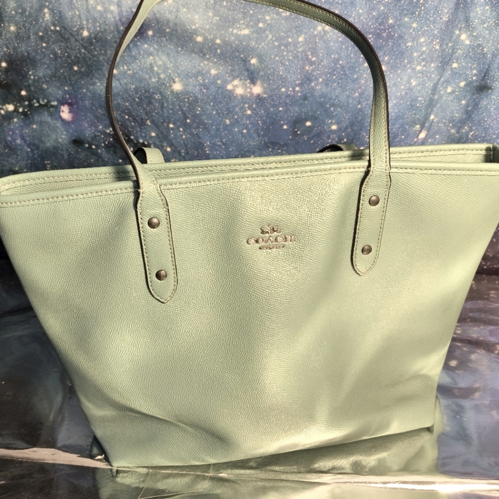 Coach City Mint Green Leather Tote Bag